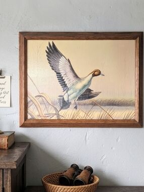 Vintage Framed Northern Pintail Duck Art – Collectors Corner Inc. – Excellent Co
